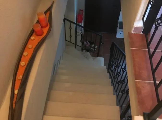 Case de vacanță House